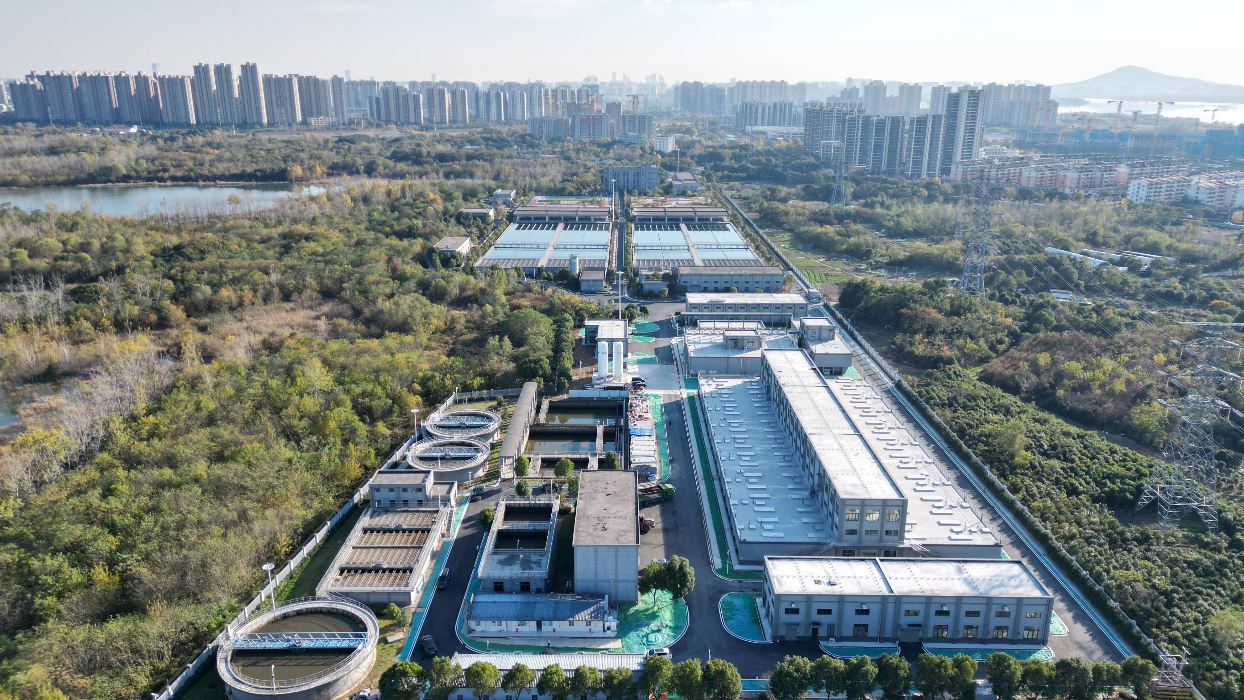 柳州市合肥专业企业价值增长(合肥市重点企业产业目录)