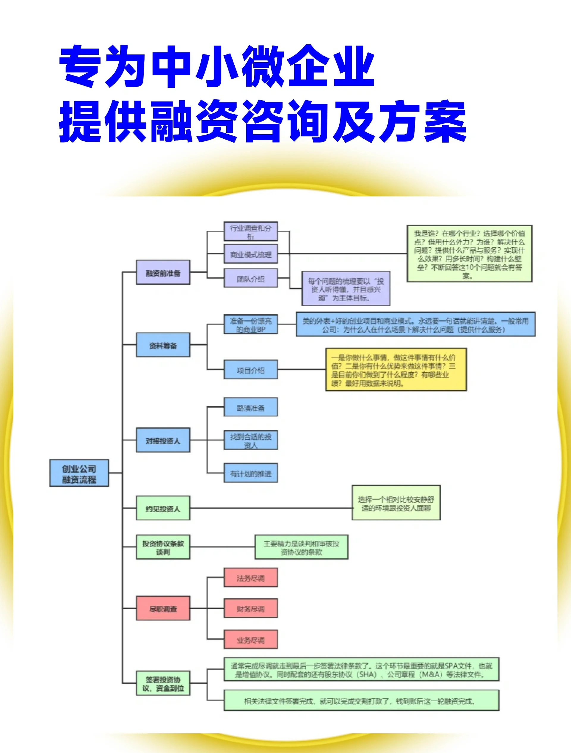 柳州市宠物企业资金管理(宠物管理机构叫什么)