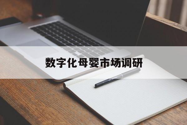 柳州市数字化母婴市场调研(数字化母婴市场调研报告)